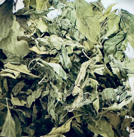 St. John's Bush | Blood-Building & Vitality Herb