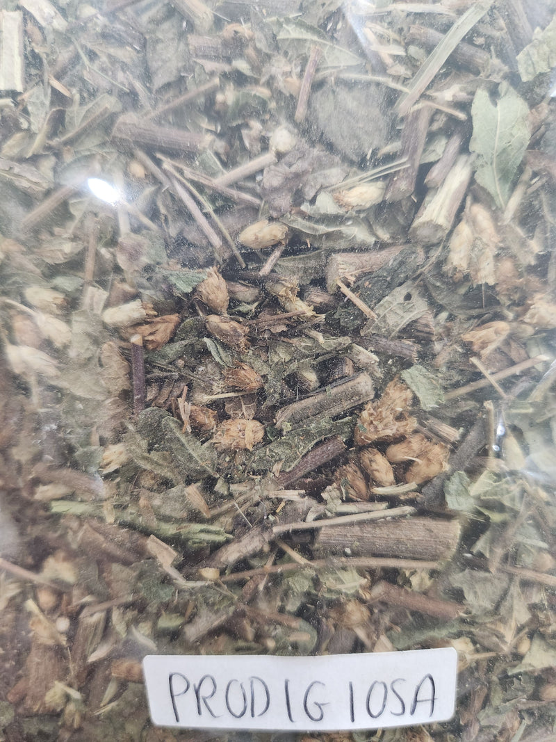 Dream Herb (Prodigiosa)
