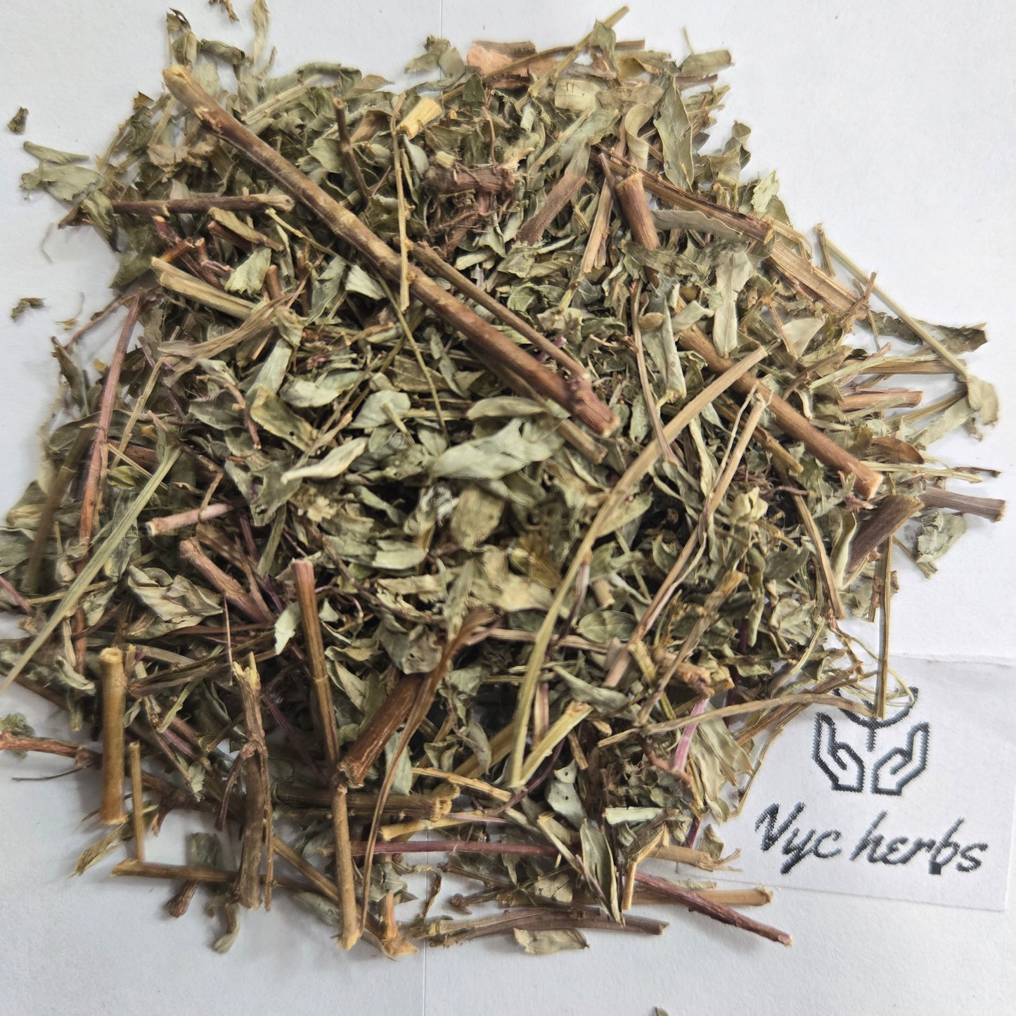 Chanca Piedra | Kidney & Gallbladder Support