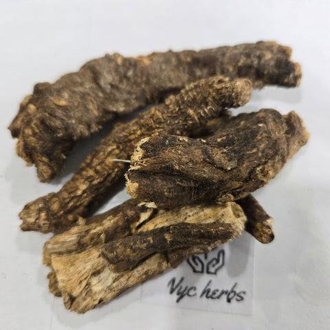 Osha Root (Chuchupate)