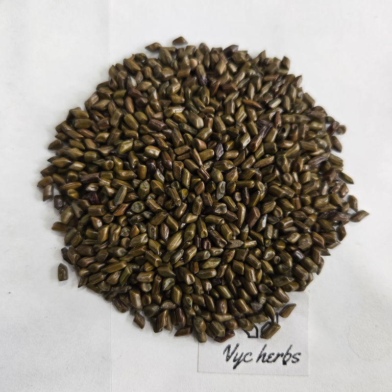 Cassia Seeds