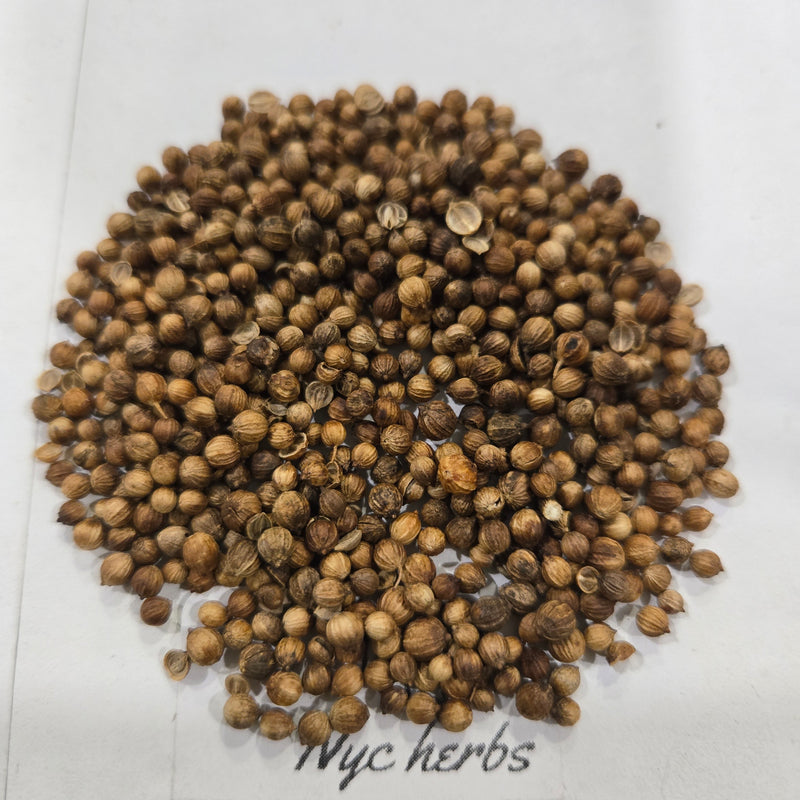 Coriander seed (Semillas de Cilantro)