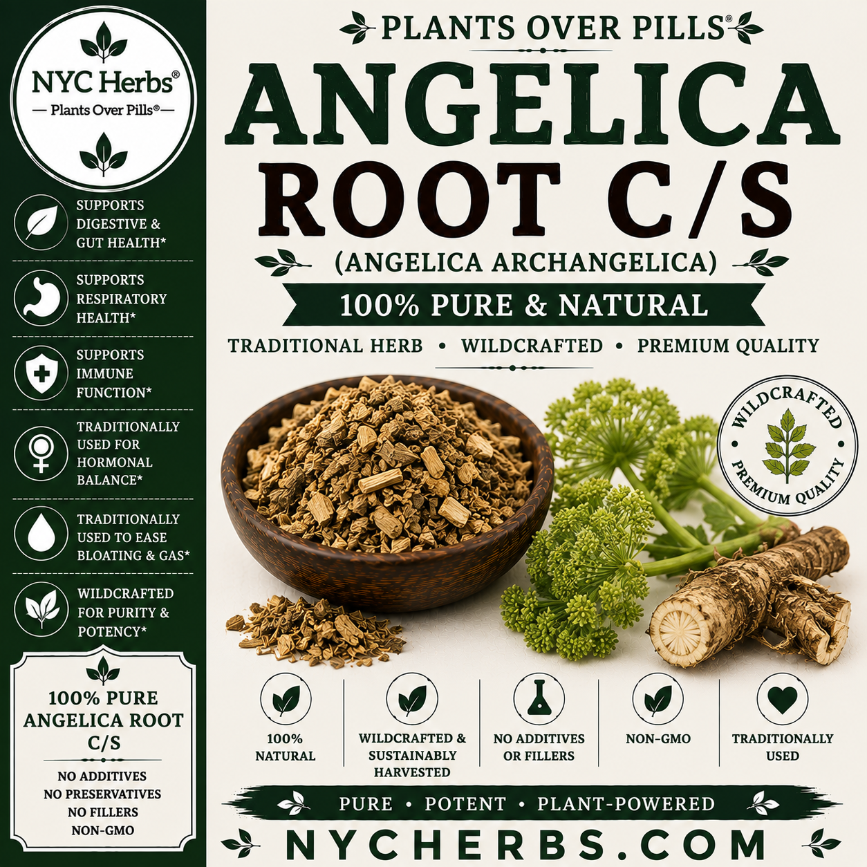 Angelica Root c/s