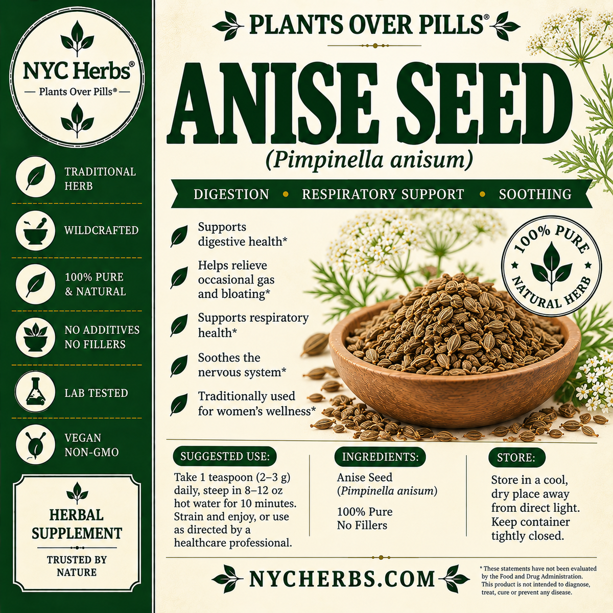 Anise Seed | Respiratory Ease & Digestive Support