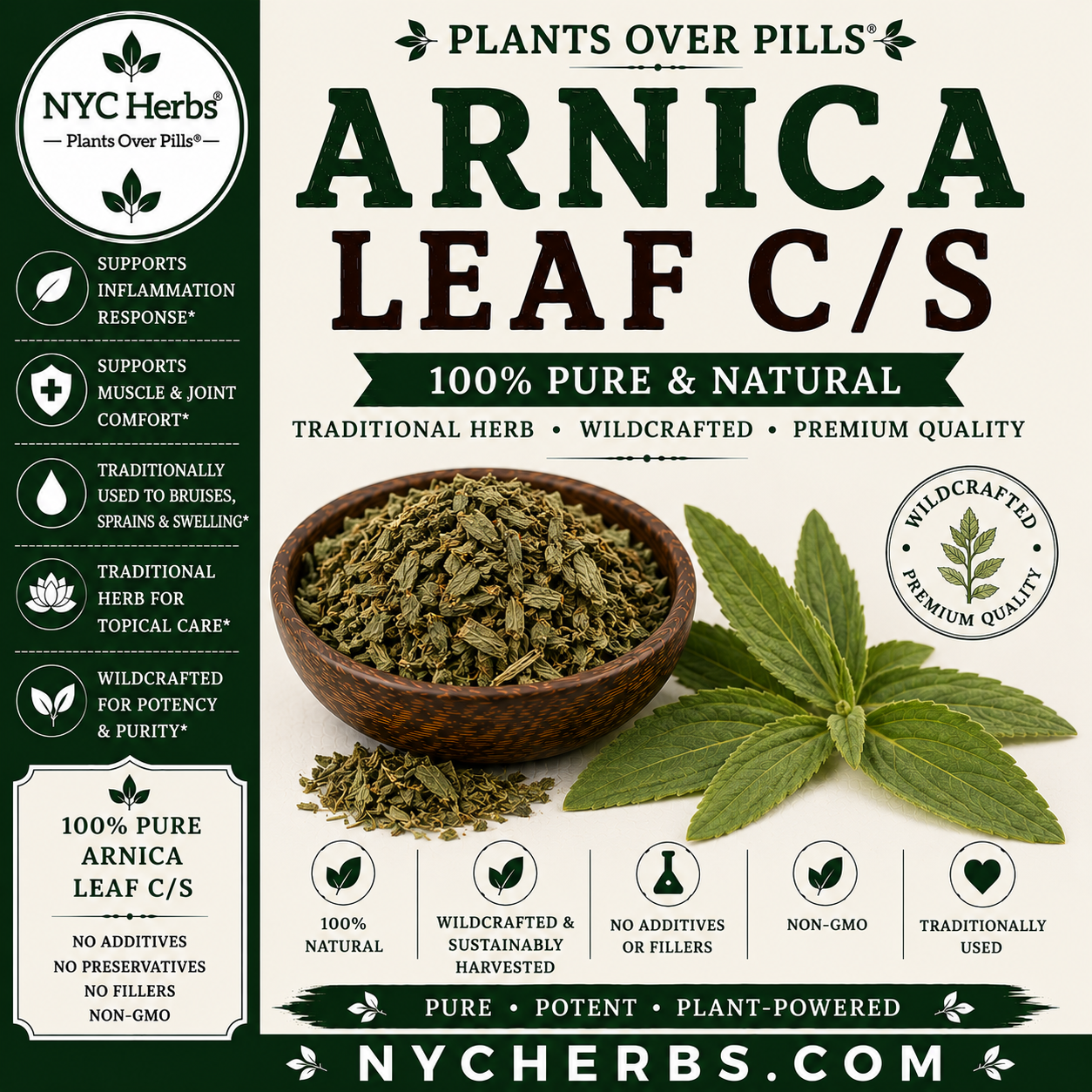 Arnica Leaf | Pain Relief & Circulation Support