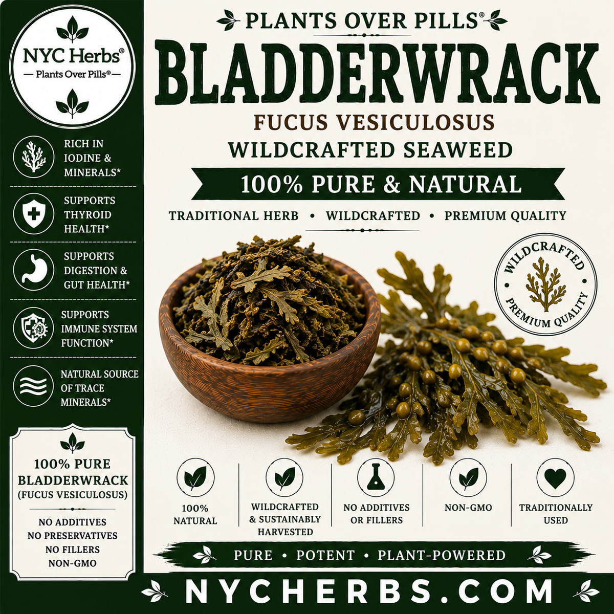 Bladderwrack