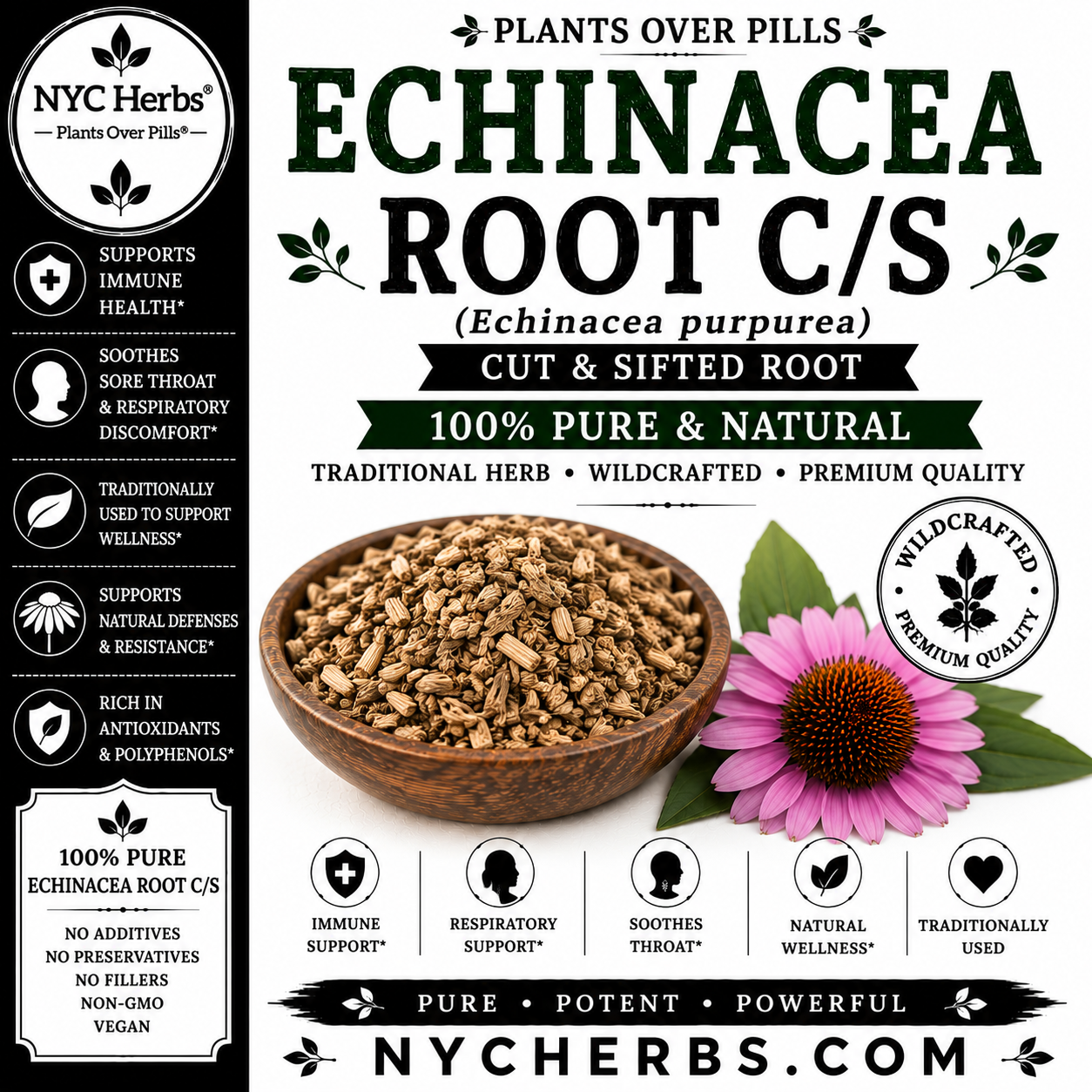 Echinacea root c/s
