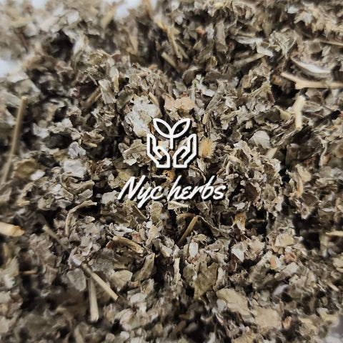 Hoja de frambuesa (rubus idaeus)
