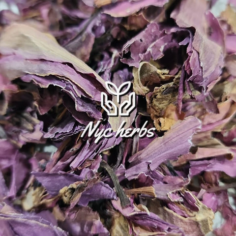 Red Lotus | Sacred Calm & Spiritual Awakening