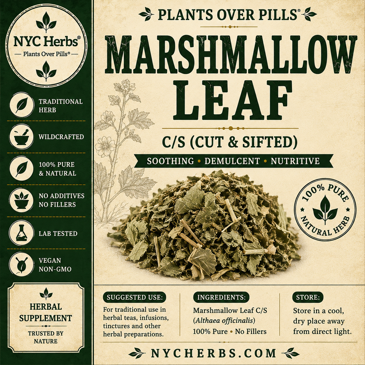 Marshmallow Leaf | Soothing Respiratory & Digestive Comfort