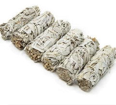 White Sage | Cleansing & Spiritual Protection
