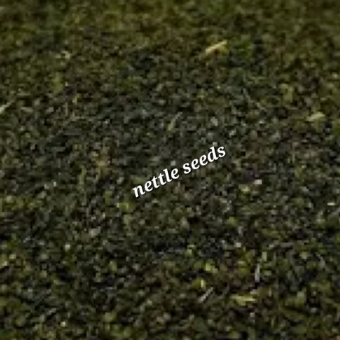 Nettle Seed | Kidney Strength & Adrenal Support
