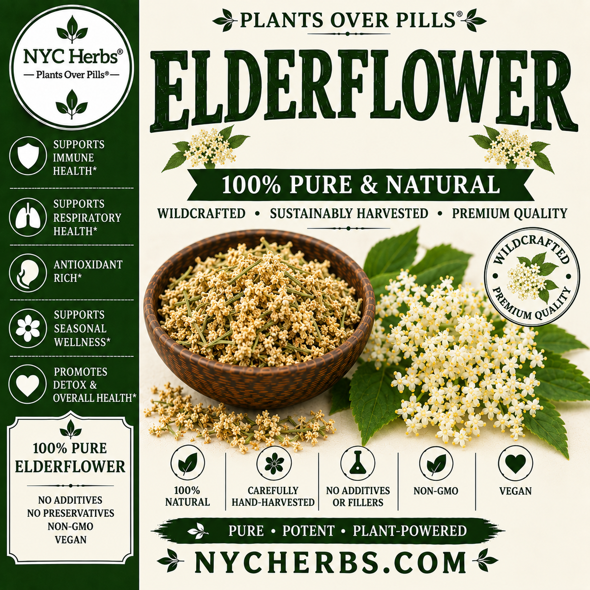 Elderflower | Immune Support & Gentle Detox
