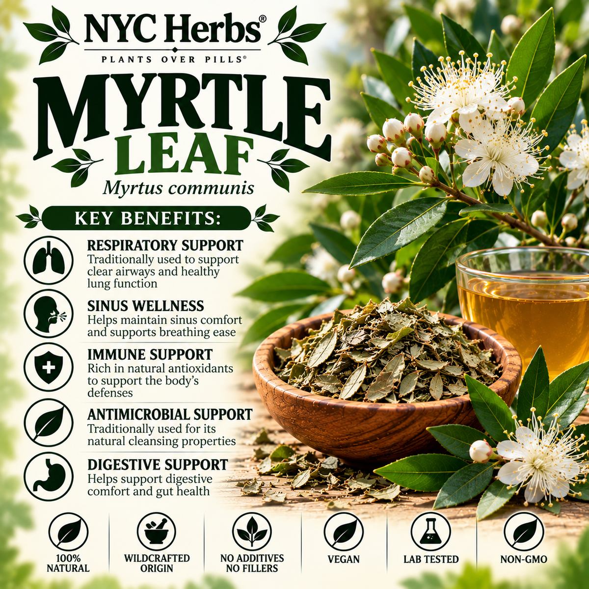 Myrtle Leaf