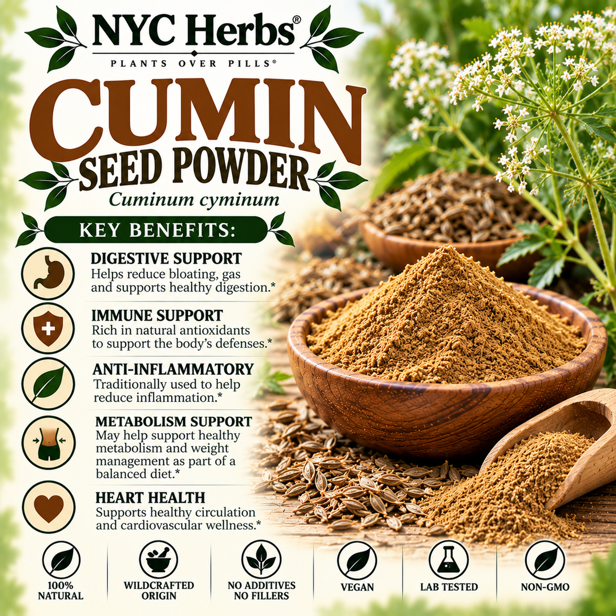 Cumin Seed