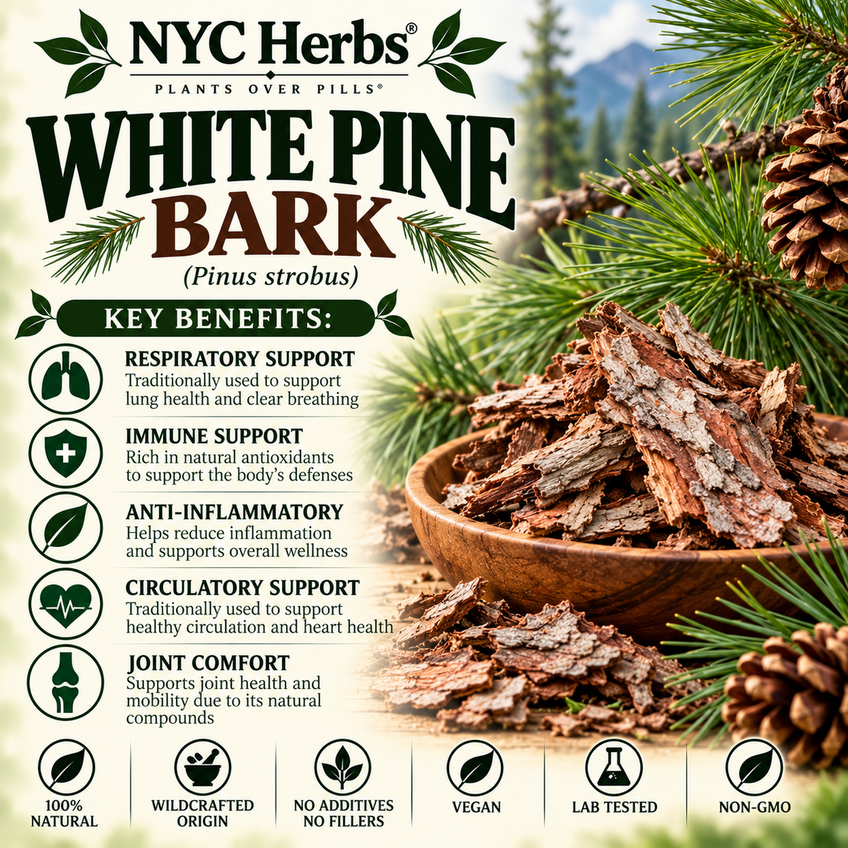 White Pine Bark