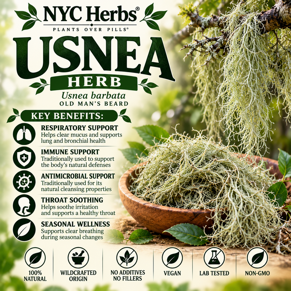 Usnea | Natural Antibiotic & Immune Support