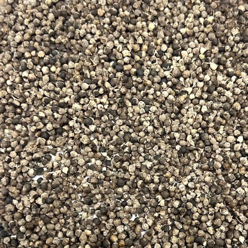 Chaste Berry (Vitex agnus-castus)