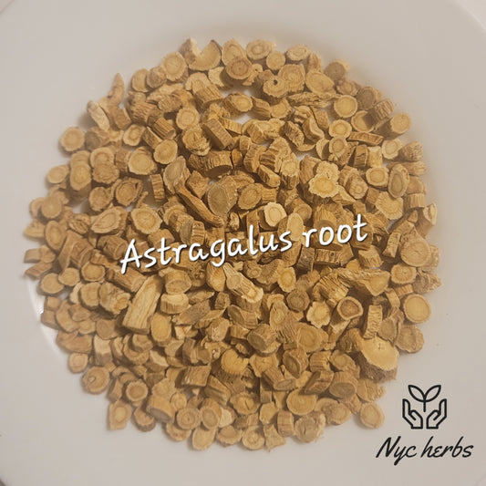 Astragalus Root (Raíz de Astrágalo)