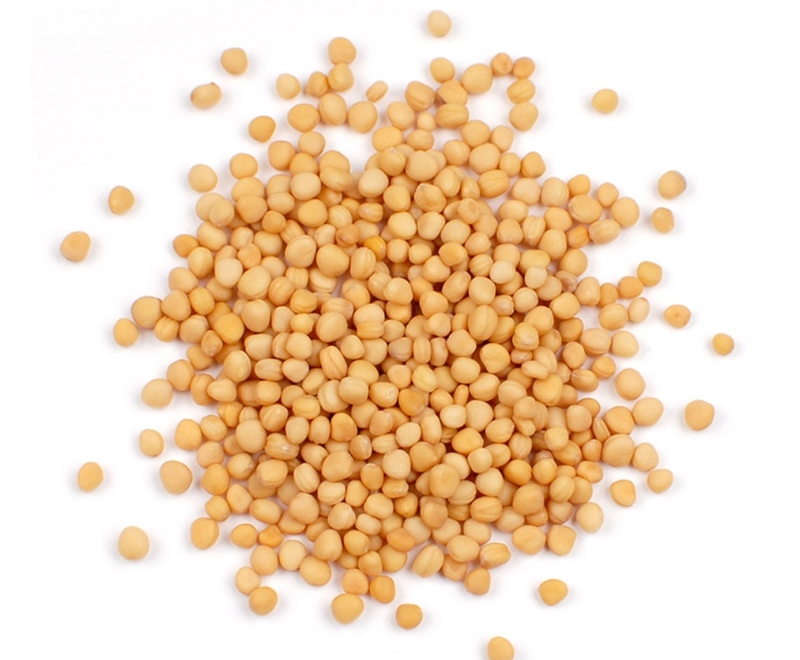 Mustard Seed Yellow