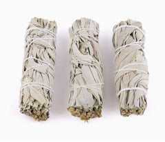 White Sage | Cleansing & Spiritual Protection