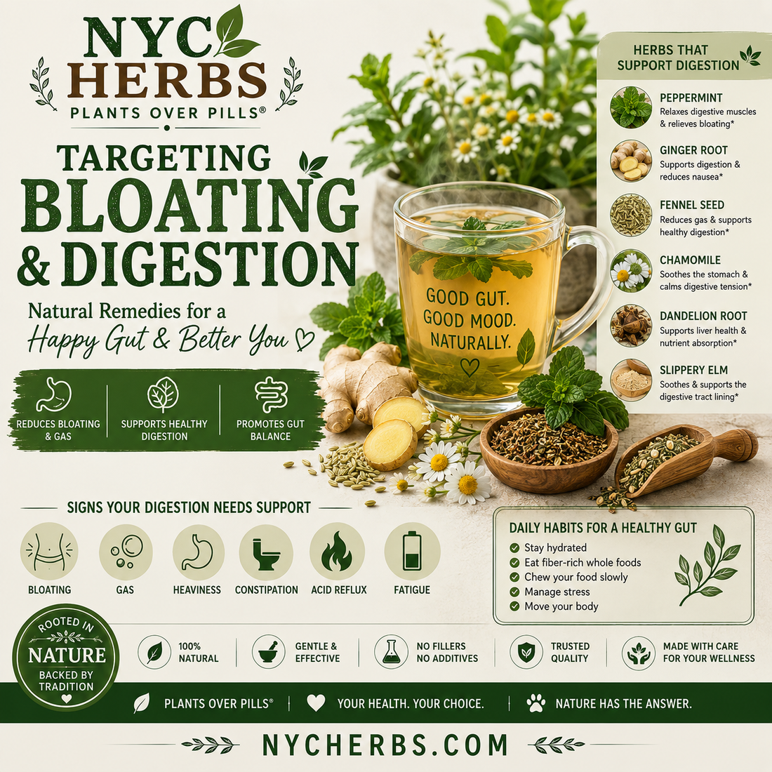 Targeting Bloating & Digestion