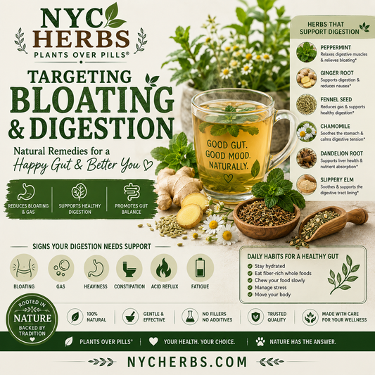 Targeting Bloating & Digestion