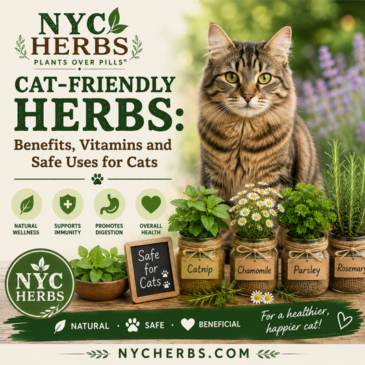 Cat-Friendly Herbs: Benefits, Nutrients and Safe Uses for Cats