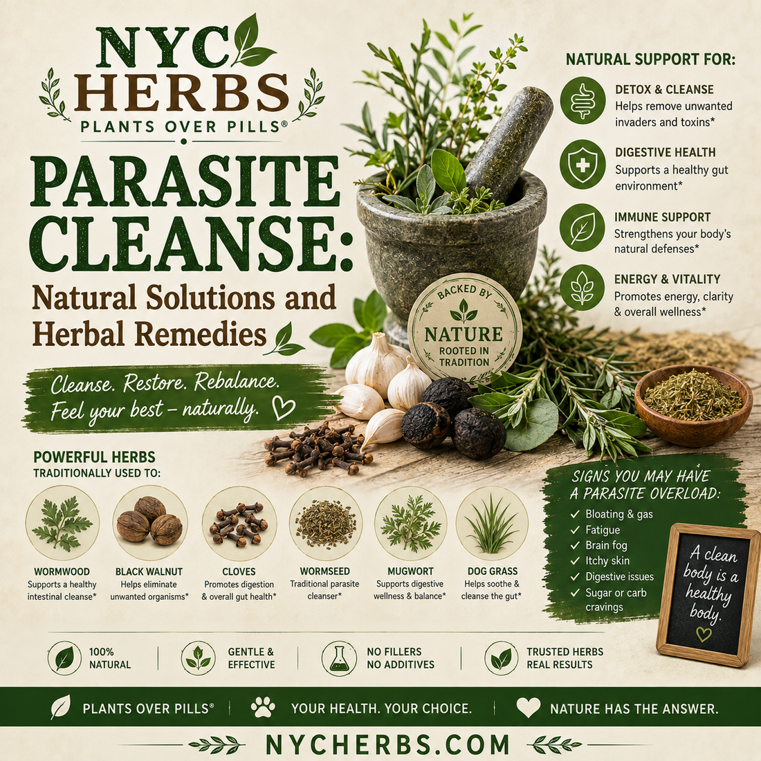 Parasite Cleanse: Natural Solutions and Herbal Remedies