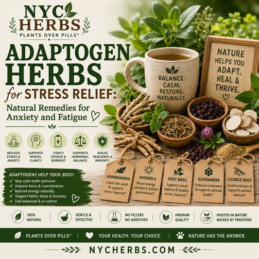 Adaptogen Herbs for Stress Relief: Natural Remedies for Anxiety and Fatigue