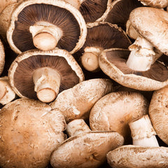 MUSHROOMS