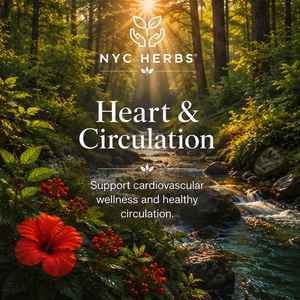 Heart & Circulation