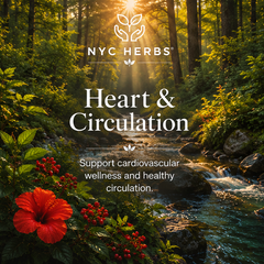 Heart & Circulation