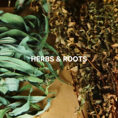 HERBS & ROOTS