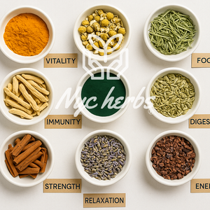Wellness Collections
