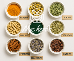 WELLNESS COLLECTIONS