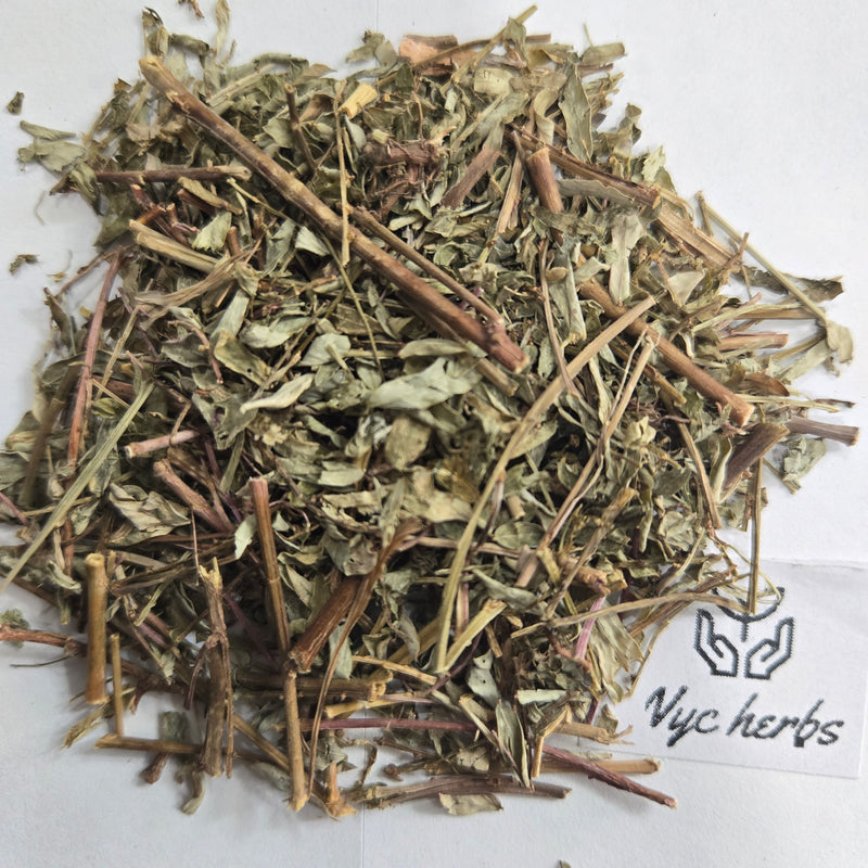 Chanca piedra (stone breaker herb)