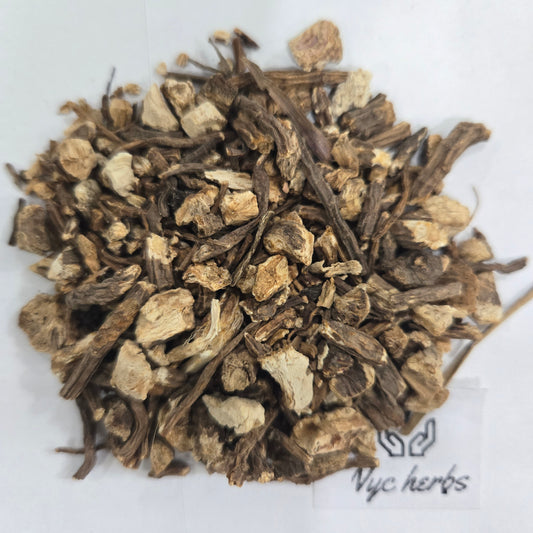 Angelica Root