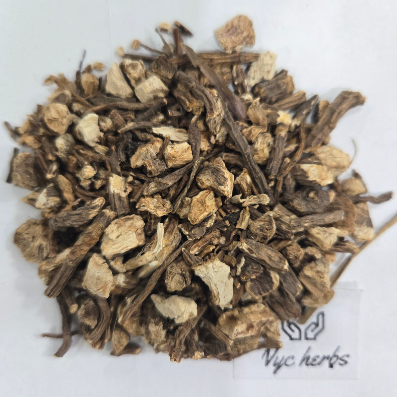 Angelica Root