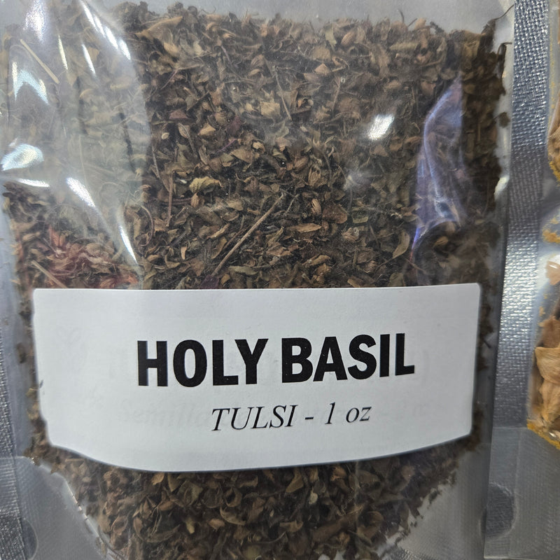 Holy Basil (Tulsi)