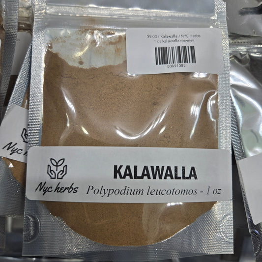 Kalawalla (Calaguala) | Immune & Skin Support Herb