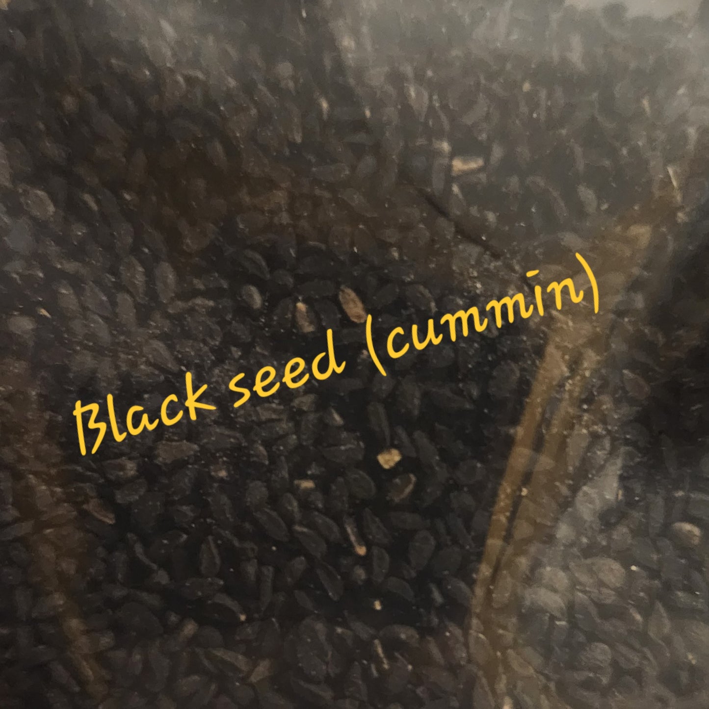 Black seed (Nigella Sativa)
