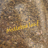 Mistletoe leaf