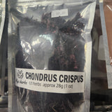 Musgo de Chondrus Crispus