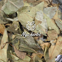 Graviola Leaf - Soursop