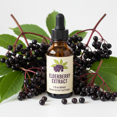 Elderberry | Immune Support & Seasonal Wellness