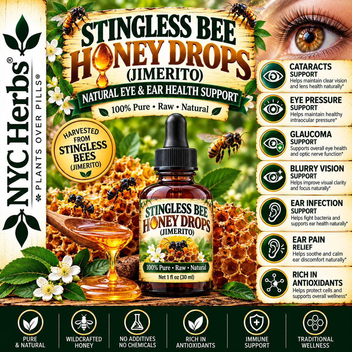 Stingless bee honey (jimerito)