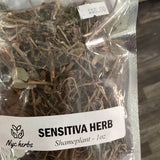 Sensitiva herb