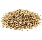 Sesame seed