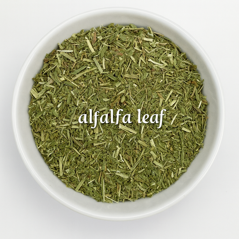 Alfalfa Leaf